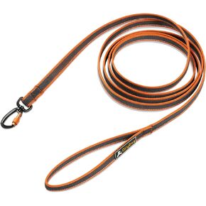 OllyDog Rubber Grip Reflective Leash, Non-Slip and Tear-Resistant Rubberized Nylon, 10ft, Convenient for Everyday Use and Any Adventures (Clay)