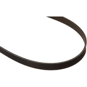 Motorcraft Drive Belt