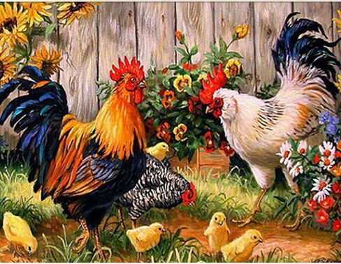 MXJSUA DIY 5D Diamond Art Painting Rooster by Number Kits for Adults, Rooster Diamond Art Painting Kits Round Full Drill Diamond Art Kits Picture Arts Craft for Home Wall Art Decor 14x18 inch in Saudi Arabia