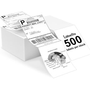 Labelife Thermal Direct 4x6 Shipping Labels Compatible with MUNBYN Rollo IDPRT SP420, SP410, POLONO PL60 Label Printer (Pack of 500 4x6 Fanfold Labels)