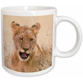 3dRose mug_73076_4 "Tanzania. Lion cub after kill in Serengeti NP.-AF45 RBE0073 - Ralph H. Bendjebar" Two Tone Black Mug, 11 oz, Multicolor