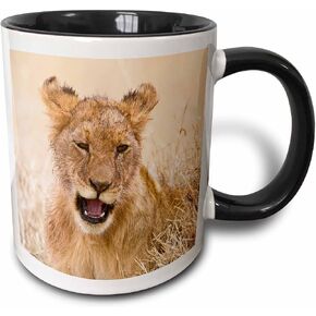 3dRose mug_73076_4 "Tanzania. Lion cub after kill in Serengeti NP.-AF45 RBE0073 - Ralph H. Bendjebar" Two Tone Black Mug, 11 oz, Multicolor