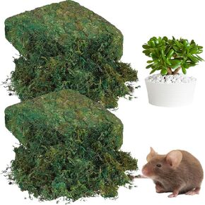 56.4 Oz Artificial Moss for Planters Fake Moss Decor for Potted Plants Centerpieces Fresh Green Moss for Crafts Planter Filler for Plants Floral Mini Garden Grass for Terrarium Arts Wedding in Kuwait