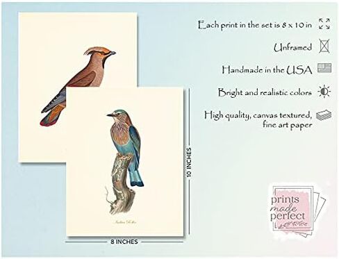 Vintage Bird Art Prints - Wall Decor - Audubon Birds - Bird Lover Gift - Giclee Printed Artwork - Set of 9 - Unframed (5x7) in Saudi Arabia