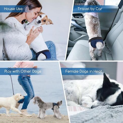 Female Dog Heat Cycle with 3 Replace Diaper,Dog Pants in Heat Reusable Diapers Adjustable Protective Pants for Dogs Black L in Saudi Arabia