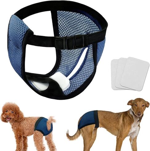 Female Dog Heat Cycle with 3 Replace Diaper,Dog Pants in Heat Reusable Diapers Adjustable Protective Pants for Dogs Black L in Saudi Arabia