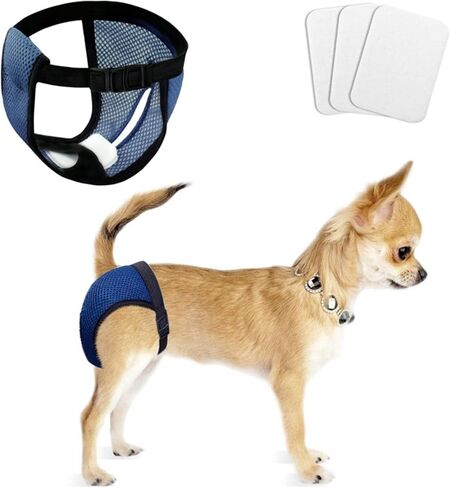 Female Dog Heat Cycle with 3 Replace Diaper,Dog Pants in Heat Reusable Diapers Adjustable Protective Pants for Dogs Black L in Saudi Arabia