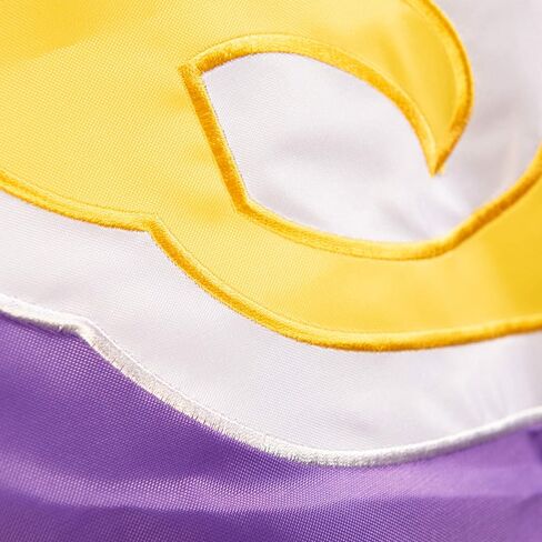 College Flags & Banners Co. West Chester Golden Rams Embroidered and Stitched Nylon Flag in Saudi Arabia