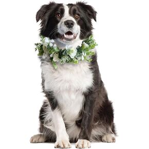 Dog Wedding Flower Collar,Dog Flower Collar,Rose Flower Crown,Flower Crown,Dog Wedding Collar,Flower Dog Collar,for Weddings Flower Ring Pets Cats and Dog,Pet Photo Prop.