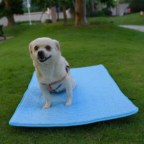 Dog Cooling Mat, Summer Pet Bed, Keep Pets Cool, Machine Washable Pet Cooling Pad for Beds, Kennels, Sofas, Beds, Floors, Car Seats (XL-42'' × 28'')