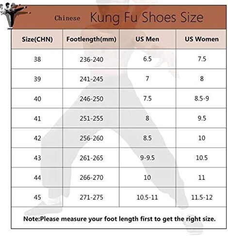 Kung Fu Shoes Martial Arts Shoes Men/Women Chinese Traditional Old Beijing Shoes Kung Fu Tai Chi Rubber Sole Shoes Black (Black, Adult, Men, 9, Numeric, US Footwear Size System, Medium) in Saudi Arabia