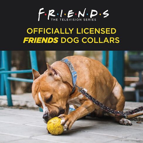 طوق كلب من النايلون، أسود، كبير (L)، طوق كلب قابل للتعديل مع حلقة على شكل حرف D، Friends Merch للكلاب in Saudi Arabia