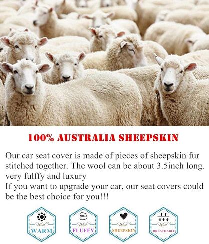 Genuine Australian Sheepskin Car Seat Cover Universal Fit Natural Wool Seat Cushion Covers Soft Warm Plush Seat Cover for Winter Beige in Saudi Arabia