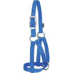 Weaver Leather unisex adult Livestock Llama Halters Blue Full, Blue, Medium US