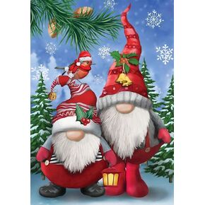 NAIMOER Christmas Diamond Art Gnomes Kits for Adults, Full Drill Round Diamond Art Gnomes Snowman Gem Painting, Winter Diamond Art Gnomes for Home Wall Decor 11.7x15.8 inch