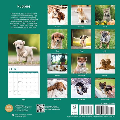 2024 Puppies Monthly Wall Calendar by Bright Day, 12 x 12 Inch Cute Dog Breed Gift in Saudi Arabia