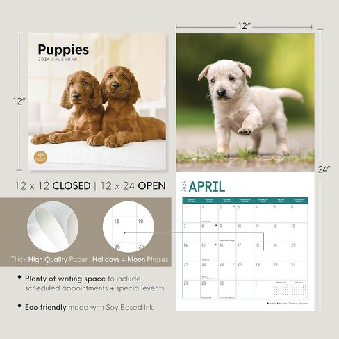 2024 Puppies Monthly Wall Calendar by Bright Day, 12 x 12 Inch Cute Dog Breed Gift in Saudi Arabia