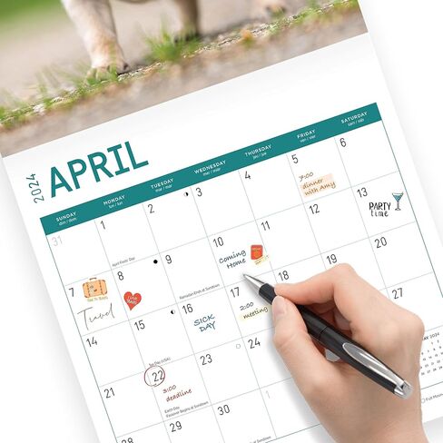 2024 Puppies Monthly Wall Calendar by Bright Day, 12 x 12 Inch Cute Dog Breed Gift in Saudi Arabia