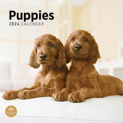 2024 Puppies Monthly Wall Calendar by Bright Day, 12 x 12 Inch Cute Dog Breed Gift in Saudi Arabia