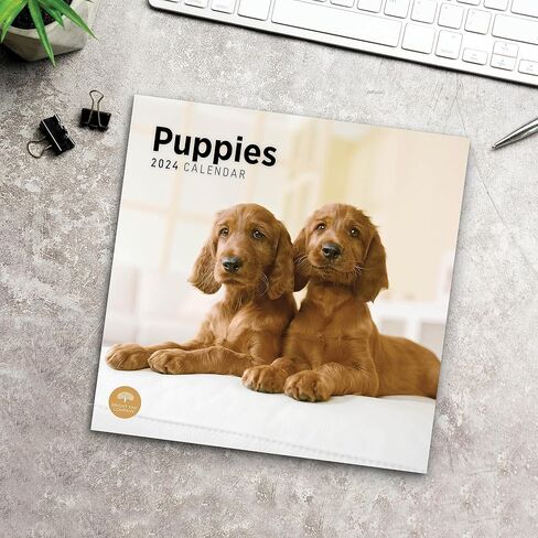 2024 Puppies Monthly Wall Calendar by Bright Day, 12 x 12 Inch Cute Dog Breed Gift in Saudi Arabia