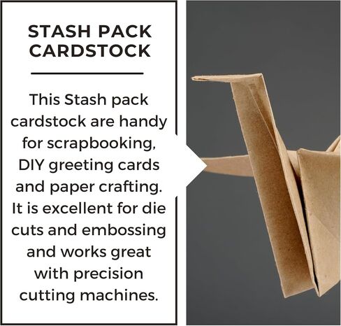 PA Paper Accents Stash Pack Cardstock Pack 8.5" x 11" Browns, colored cardstock paper for card making, scrapbooking, printing, quilling and crafts, 65lb., 40 pieces in Saudi Arabia