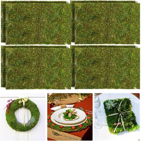 Hotop 4 Pcs Dried Moss Mat Decorative Moss Green Sheet Moss for Crafts Green Moss Wall Panels Table Moss Mat Decor Wedding Birthday Party Ornament DIY Garden Potted Plants Decor (6 x 6 Inch)