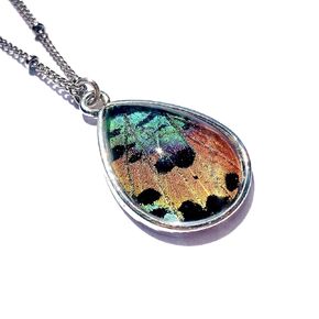 Handmade Real butterfly wing necklace Pressed flower necklace for women Taxidermy insect jewelry Preserved butterfly jewelry Sunset moth necklace Ethically Sourced