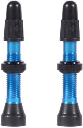 WTB Aluminum TCS Presta Valve in Saudi Arabia