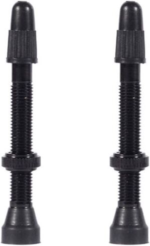 WTB Aluminum TCS Presta Valve in Saudi Arabia