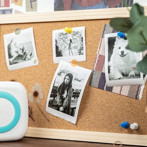 15 Rolls Premium Mini Printer Paper, Regular Thermal Paper Rolls for Mini Pocket Thermal Printer, Receipt Thermal Printer - 57mm x 5.8m, Diameter 25mm, Smooth,Flexible, 10 Years Duration in Kuwait