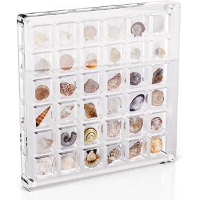 Acrylic Seashell Display Box, 36 Grids Shell Display Box, Clear Acrylic Seashell Display Box, Tiny Treasure Hunting Seashell Display（36 Grids