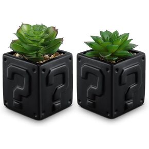 WOODWORD Fake Succulents Plants Artificial with Question Pattern Black Ceramic Pot for Bathroom Bedroom Home Office Desk Shower Decor Aesthetic Indoor - Set of 2