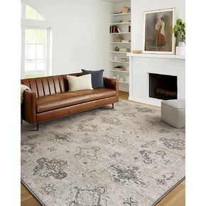 Washable Area Rug 5x7ft for Living Room Bedroom Soft Non Slip Indoor Decor Carpet for Kitchen Distressed Abstract Low Pile Floor Mat for Office, Beige Gray