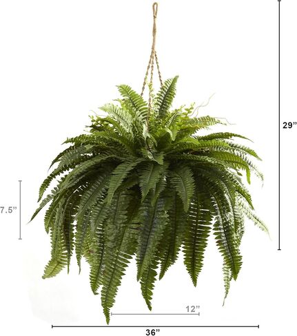 Nearly Natural 6788 Double Giant Boston Fern Hanging Basket,Green & 5289 6.5ft. Golden Cane Palm Silk Tree,Green in Saudi Arabia