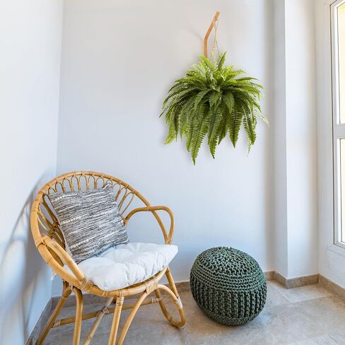 Nearly Natural 6788 Double Giant Boston Fern Hanging Basket,Green & 5289 6.5ft. Golden Cane Palm Silk Tree,Green in Saudi Arabia