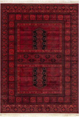 nuLOOM Billie Traditional Paneled Fringe Area Rug, 8x10, Red in Saudi Arabia