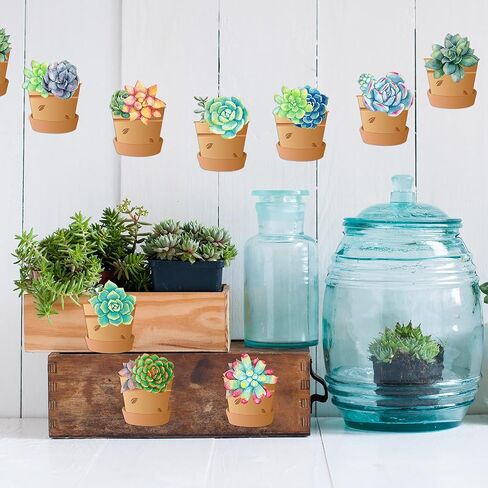 60 Pieces Potted Succulents Cut-Outs Watercolor Succulents Cutouts 12 Styles Succulents Accents Decor Succulent Bulletin Board Paper-Cuts Classroom Wall Party Decoration with 100 Glue Point Dots in Saudi Arabia
