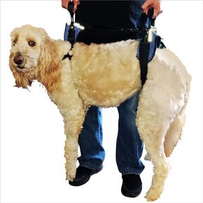 Updog Full Body Dog Lifting Harness (Medium)