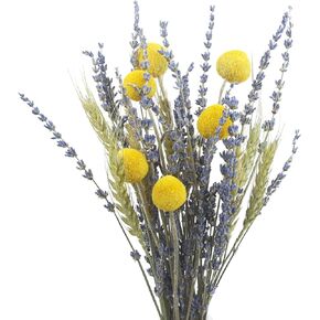 Dried Flowers Bouquet Dried Wheat Stalks Bundle Natural Lavender Dried Flowers Craspedia Flowers Dried Floral Arrangements for Wedding Party Table Centerpiece Decor Farmhouse DIY in Kuwait