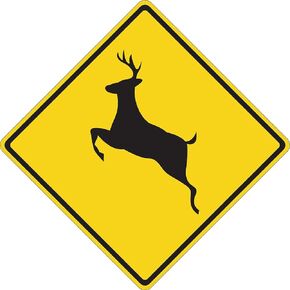 Rogue River Tactical Deer Crossing Hunter Buck Decal Sticker Silhouette Large 5x5 Inch Auto Bumper Vinyl Car Truck RV SUV Boat Window Hunting