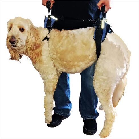 Updog Full Body Dog Lifting Harness (Medium) in Saudi Arabia