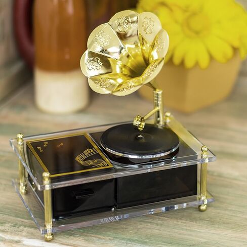 Musical Revolving Record Gramophone With Gold Accents Jewelry Box Plays Music of the Night in Saudi Arabia