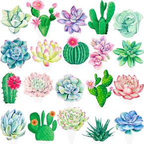 48Pcs Succulent Cactus Cupcake Toppers Succulent Plants Birthday Party Decorations Cactus Cupcake Picks Decorations for Summer Hawaiian Theme Party Birdal Shower Supplies
