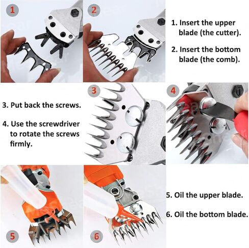 شفرة مقص الأغنام الكهربائية - آلة قص الماشية الاحترافية في المزرعة - مجموعة أدوات العناية بقص شعر الحيوانات (مجموعة شفرات قص الأغنام من الشفرات العلوية والسفلية) in Kuwait