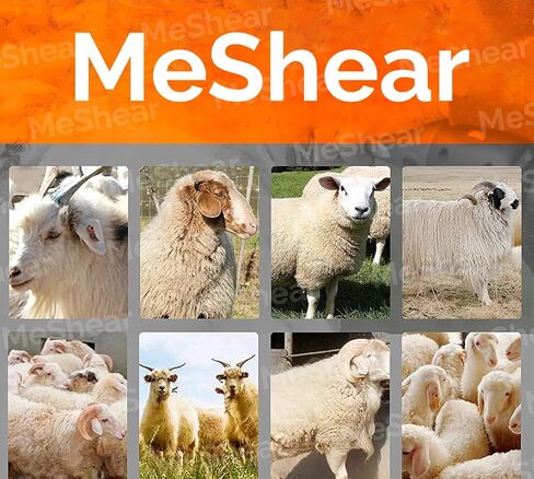 شفرة مقص الأغنام الكهربائية - آلة قص الماشية الاحترافية في المزرعة - مجموعة أدوات العناية بقص شعر الحيوانات (مجموعة شفرات قص الأغنام من الشفرات العلوية والسفلية) in Kuwait