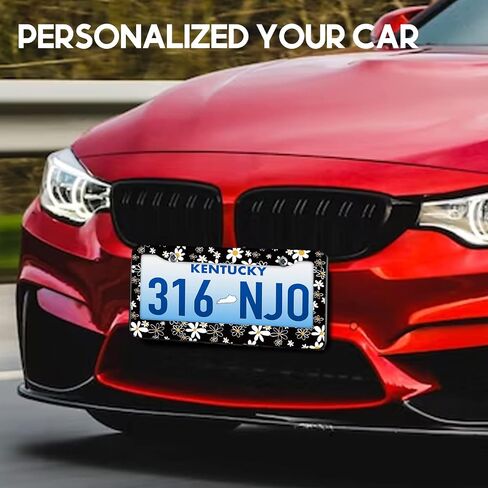 License Plate Frames 2 Pack for Women Car Plate Holder Cover Cute Daisy Flower Blossom Colorful Metal Tag Frame Stainless Steel Car Front Rear Plate Decor in Saudi Arabia
