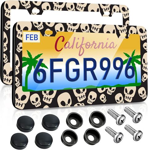 License Plate Frames 2 Pack for Women Car Plate Holder Cover Cute Daisy Flower Blossom Colorful Metal Tag Frame Stainless Steel Car Front Rear Plate Decor in Saudi Arabia