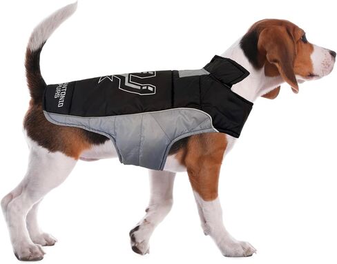 NBA Boston Celtics Puffer Vest for Dogs & Cats, Size Small. Warm, Cozy, and Waterproof Dog Coat, for Small and Large Dogs/Cats. Best NBA Licensed PET Warming Sports Jacket in Saudi Arabia