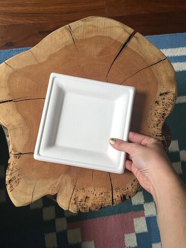 Susty Party 8-Inch Compostable Square Plates (50 Plates), Sugarcane Heavy Duty Disposable Biodegradable Plate, White in Saudi Arabia
