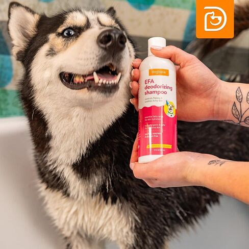 Essential Fatty Acid (EFA) Shampoo and Conditioner for Pets – 12oz Deodorizing Cherry Blossom Scent | Soothing for Dogs and Cats Rich with Moisturizing Emollients | Tearless, Soapless in Saudi Arabia